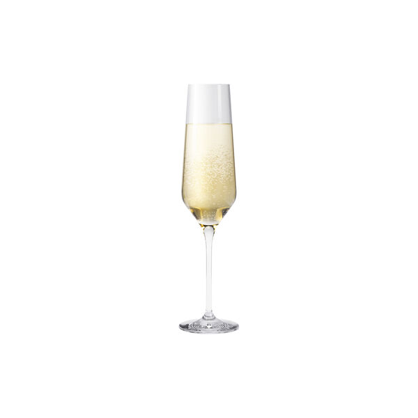 Legio Nova Champagne Glass 6 pcs, Eva Trio