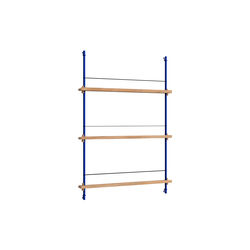 Magazine Shelving Medium, oak/deep blue, MOEBE
