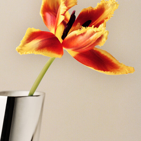 Lituus Vase gro&szlig;, Georg Jensen