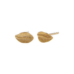 Elm Leaf Earsticks, gold plated, Pernille Corydon Jewellery