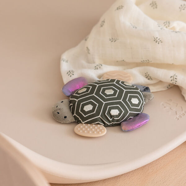 Turbo the Turtle Activity Rattle with Mirror, Sebra