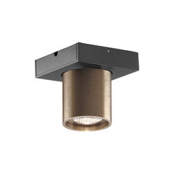 FOCUS 1 Ceiling Spotlight, rose gold, LIGHT-POINT