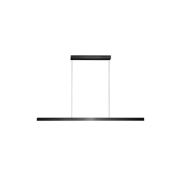 EDGE LINEAR S2000 Pendant, carbon black, LIGHT-POINT