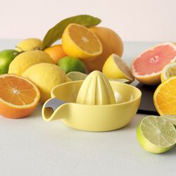 JUICY Citrus Squeezer, yellow, RIG-TIG