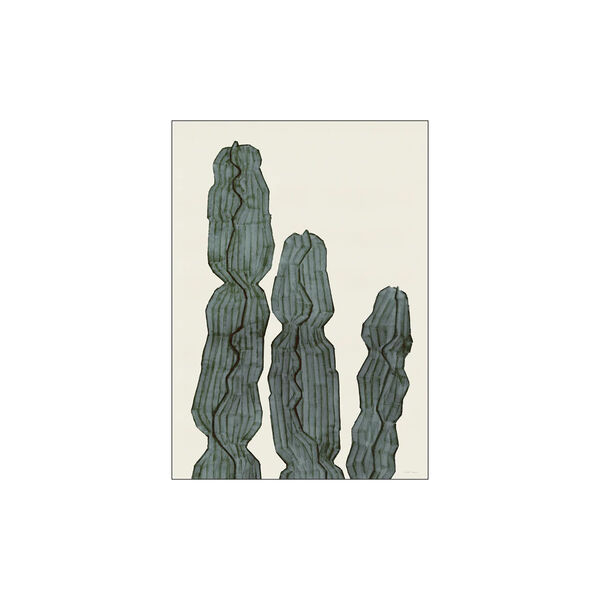 Cactus Euphorbia, Poster & Frame