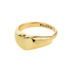 ARIN ring, vergoldet, Pilgrim