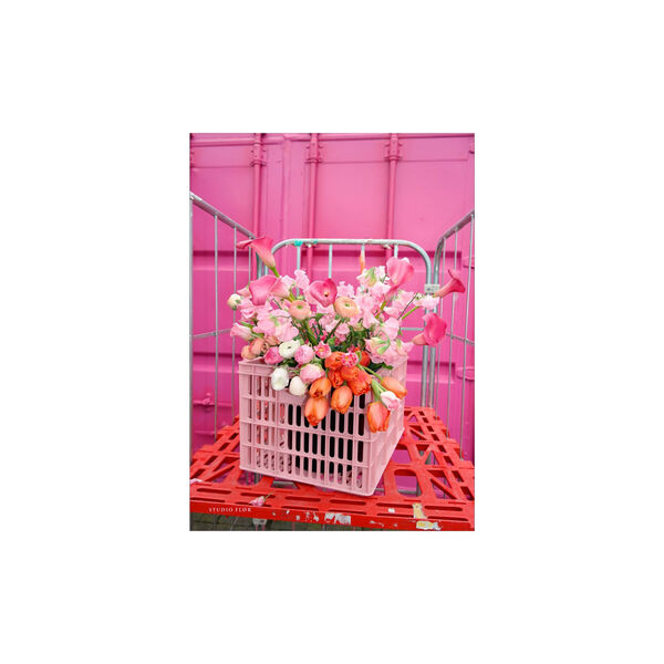 Rolling In, Poster & Frame