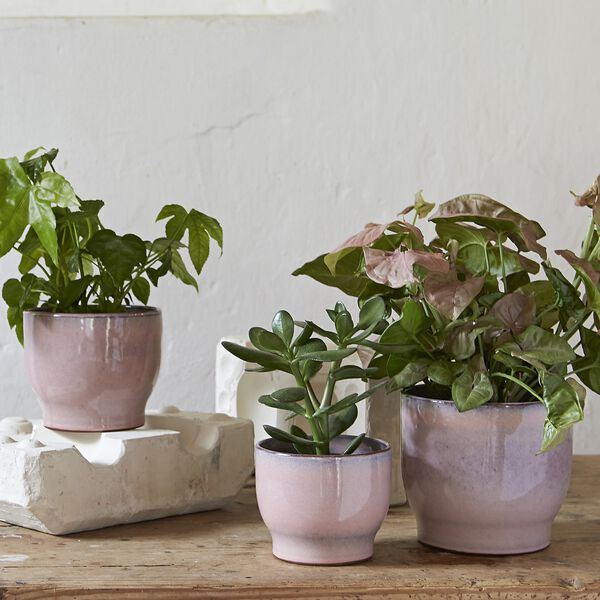 Blumentopf, rosa, Knabstrup Keramik