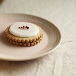 Colorit Teller Ø 19 cm, rosa, Knabstrup Keramik