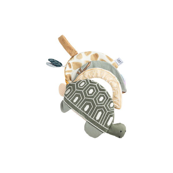 Turbo the Turtle Activity Book, Sebra