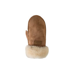 Furuvik Mittens, chestnut, Shepherd of Sweden