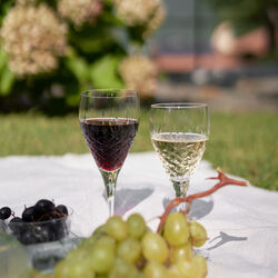 Crispy White Wine Glas, 2 Stk., Frederik Bagger