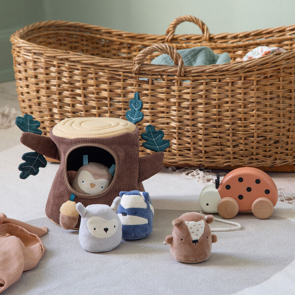 Luca the ladybird Pull-along Toy, Sebra