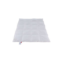 Kiddy Royal Juniordecke, Ringsted Dun