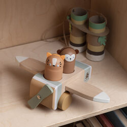 Wildlife Airplane, Sebra