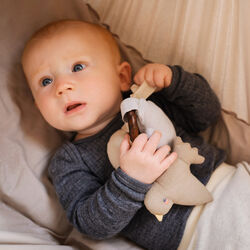 Soft Night Toy, nature, Moonboon