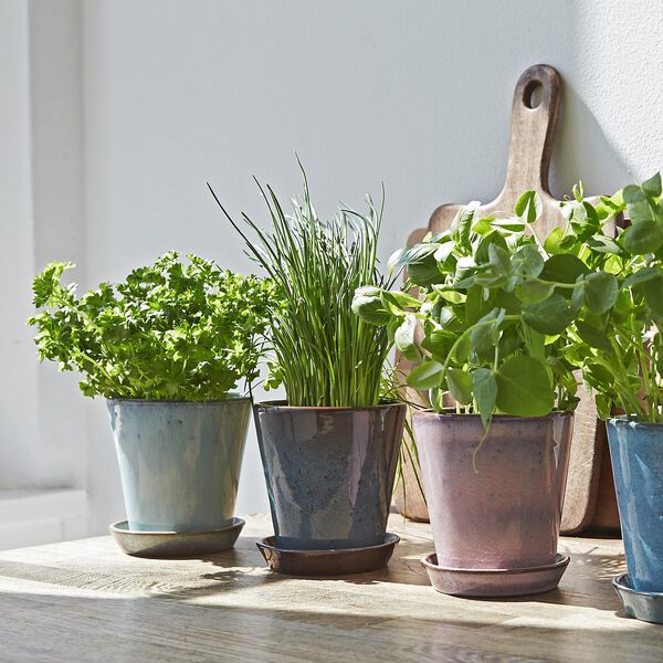 Anzuchttopf, meergr&uuml;n, Knabstrup Keramik