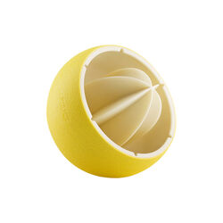 Zitruspresse, Eva Solo