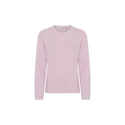 Basic Casual Cotton Knit, light rose, Micha