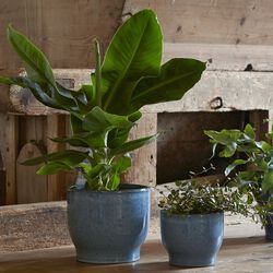 Blumentopf, staubiges blau, Knabstrup Keramik