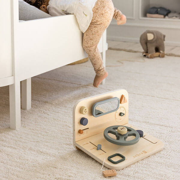 Car Activity Panel, Sebra