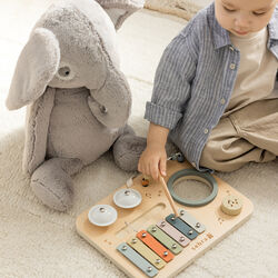 Music Activity Panel, Sebra