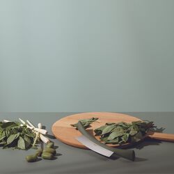 Green Tool Herb Chopper, Eva Solo