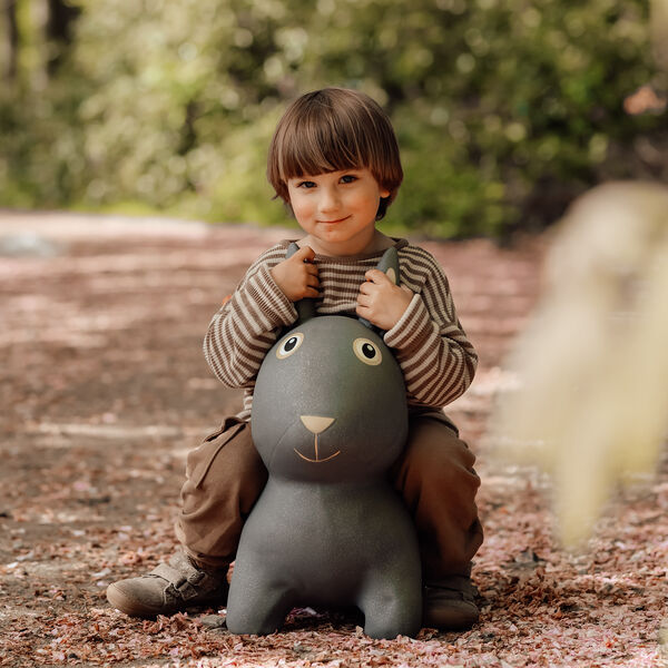 Thumper the Rabbit Jumping Animal, Find that hippo