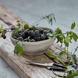 HDMore Schale, grau, House Doctor