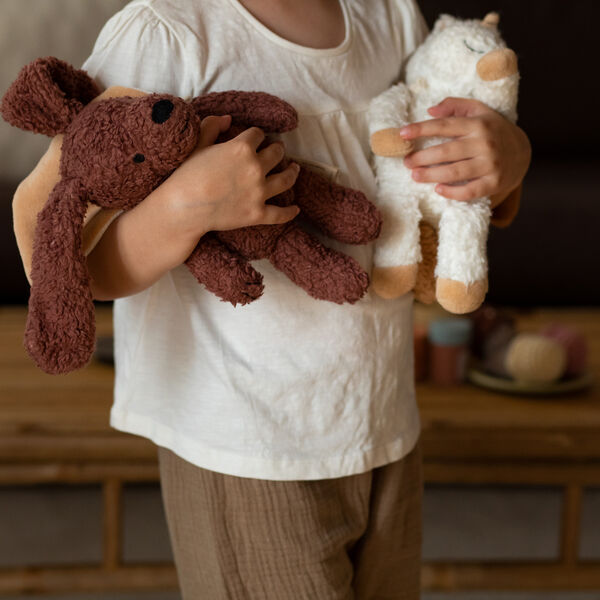 The Faithful Dog with Cape, Sleeping Hero