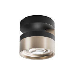 BLADE C1 SLIM Ceiling Light, matt black/satin gold, LIGHT-POINT