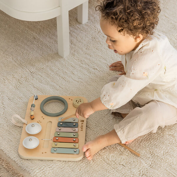 Music Activity Panel, Sebra