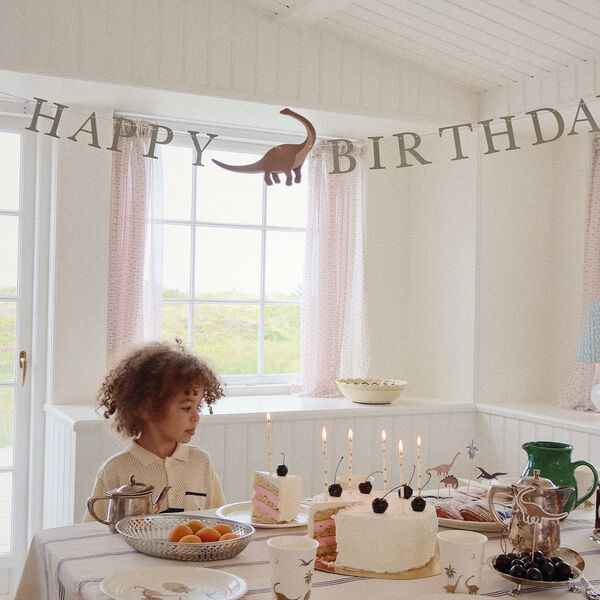 Geburtstagsset, dino, Konges Sl&oslash;jd