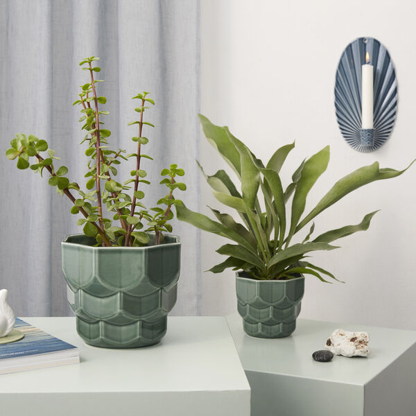 Samsurium Blumentopf, Fichte, Dottir Nordic Design